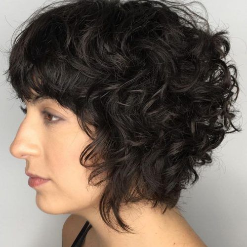 Black Wet Curly Bob Hairstyles With Subtle Highlights (Photo 7 of 20)