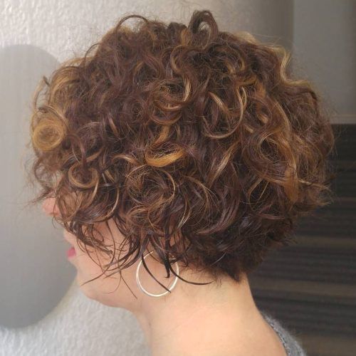 Curly Brunette Bob Hairstyles With Bangs (Photo 5 of 20)