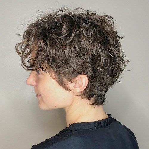 Casual Scrunched Hairstyles For Short Curly Hair (Photo 1 of 20)