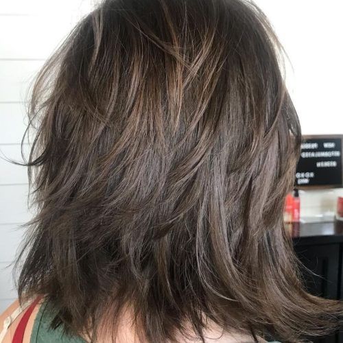 Dynamic Feathered Brunette Shag Haircuts (Photo 1 of 20)