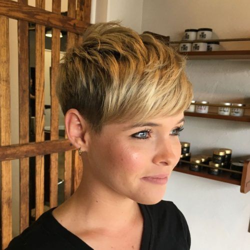 Tapered Gray Pixie Hairstyles With Textured Crown (Photo 12 of 20)