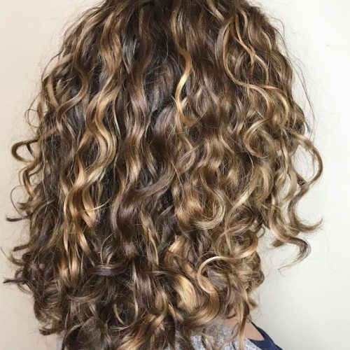 Brown Curly Hairstyles With Highlights (Photo 6 of 20)