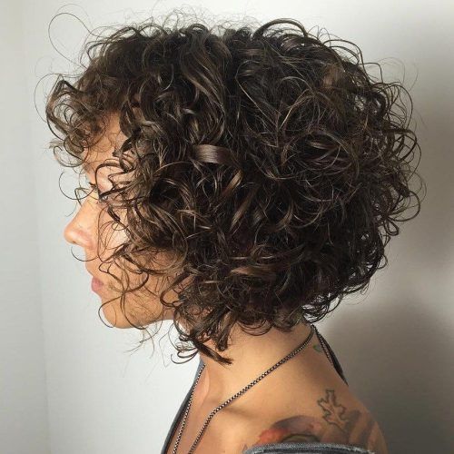 Black Wet Curly Bob Hairstyles With Subtle Highlights (Photo 3 of 20)