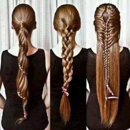 Braids For Long Thick Hair (Photo 9 of 15)