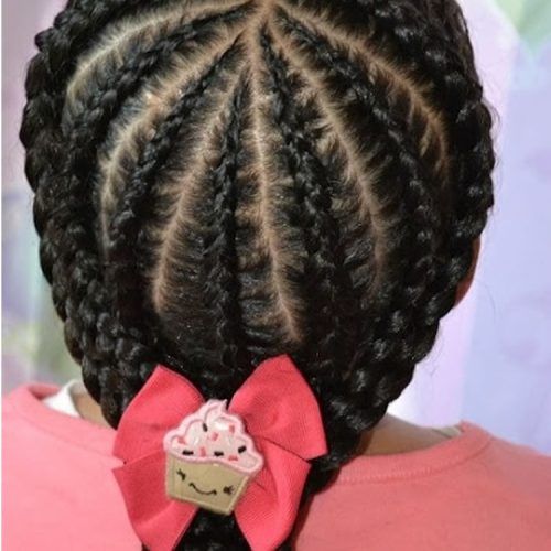 Tiny Braids Hairstyles For Front Pieces (Photo 6 of 20)