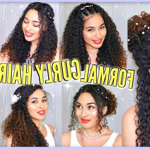 Naturally Curly Hair Updo Hairstyles (Photo 8 of 15)