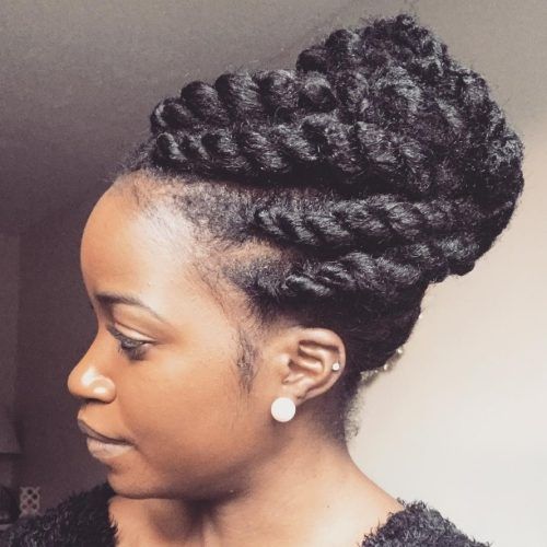 2 Strand Twist Updo Hairstyles (Photo 11 of 15)
