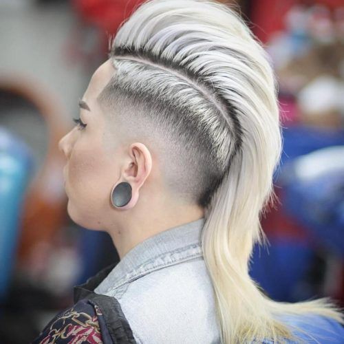 Long Platinum Mohawk Hairstyles With Faded Sides (Photo 10 of 20)