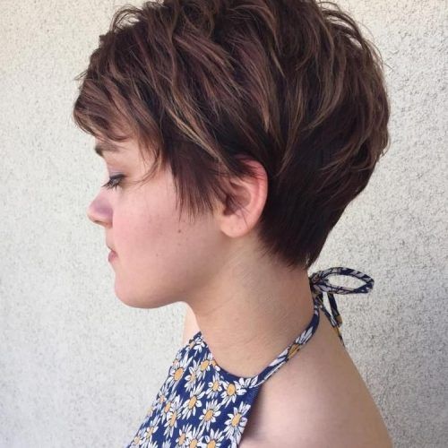 Brunette Pixie With Feathered Layers (Photo 1 of 15)