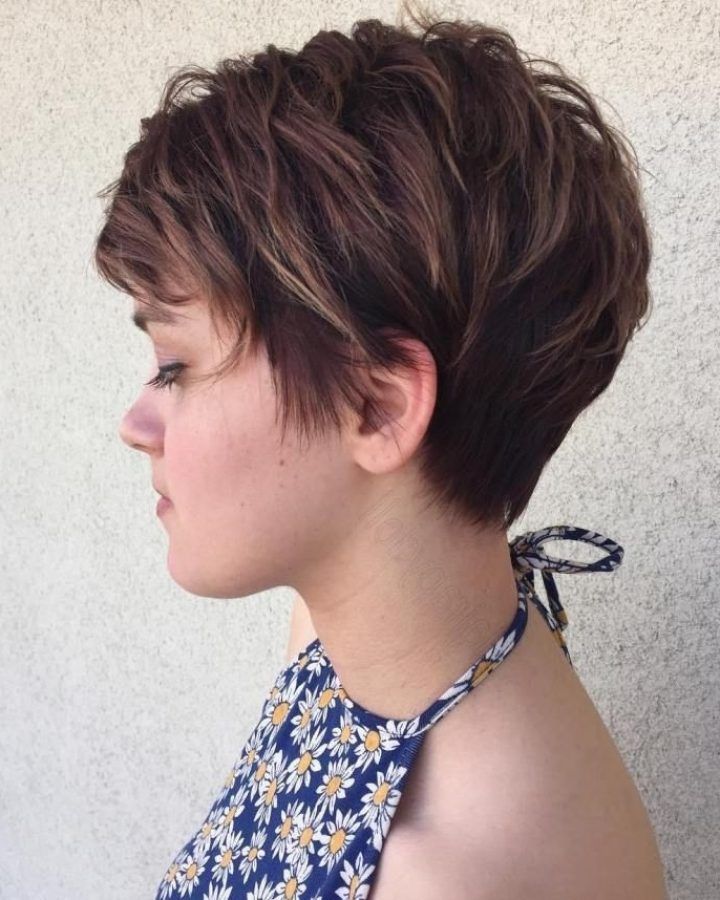15 Best Collection of Brunette Pixie with Feathered Layers