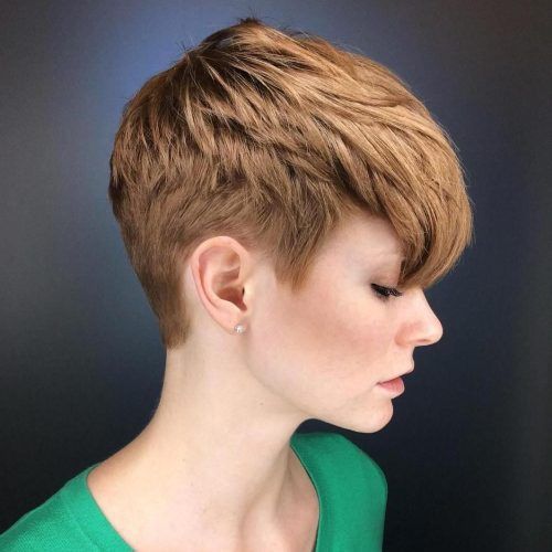 Tapered Brown Pixie Hairstyles With Ginger Curls (Photo 7 of 20)