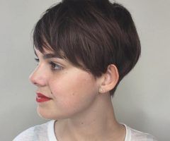 20 Ideas of Long Feathered Espresso Brown Pixie Hairstyles