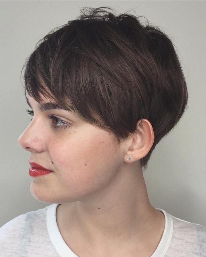20 Ideas of Long Feathered Espresso Brown Pixie Hairstyles
