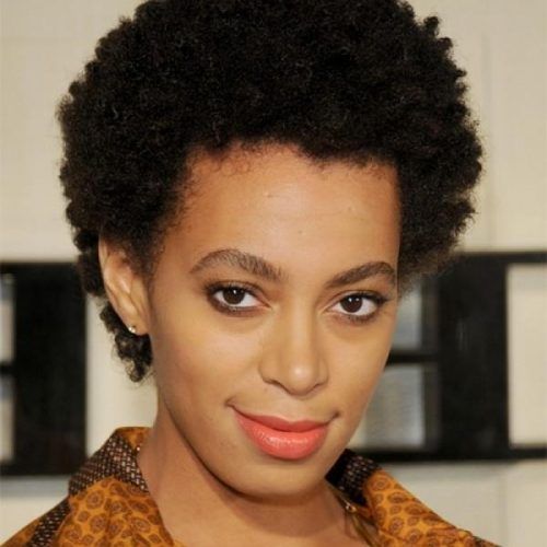 Short Haircuts For Black Women With Round Faces (Photo 2 of 15)