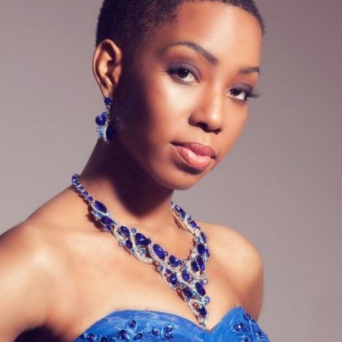 Black Woman Short Hairstyles (Photo 17 of 20)
