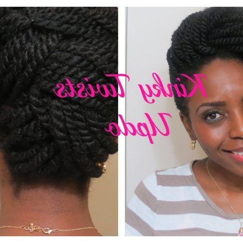 Hair Twist Updo Hairstyles (Photo 13 of 15)