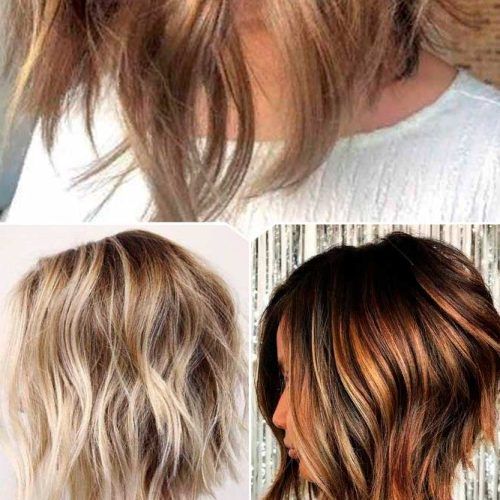 Long Feathered Bangs Hairstyles With Inverted Bob (Photo 10 of 20)