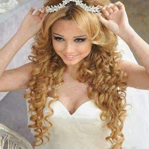 Long Curly Quinceanera Hairstyles (Photo 14 of 15)