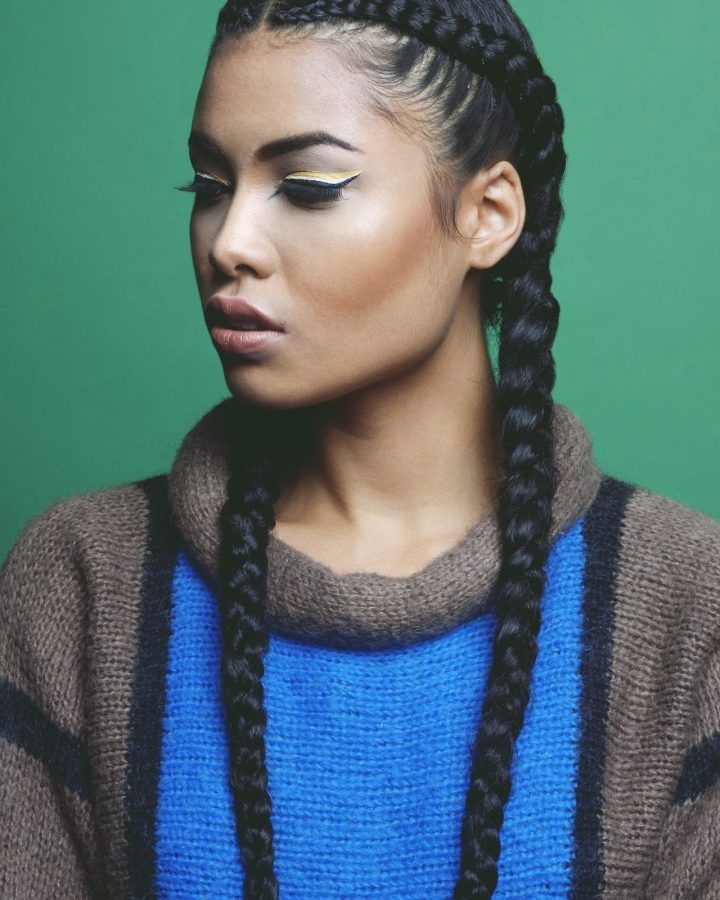 15 Inspirations Side French Cornrow Hairstyles