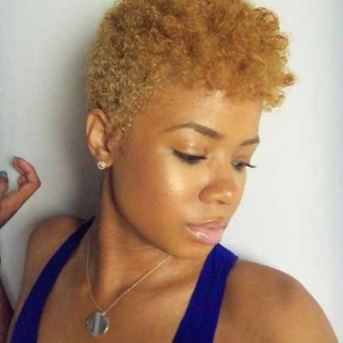 Short Haircuts For Black Women With Natural Hair (Photo 18 of 20)