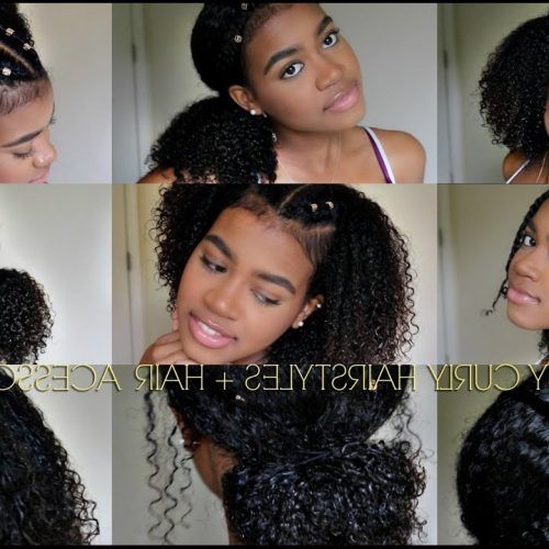Naturally Curly Braided Hairstyles (Photo 10 of 20)