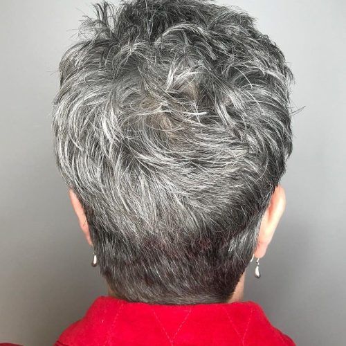 Tapered Gray Pixie Hairstyles With Textured Crown (Photo 2 of 20)