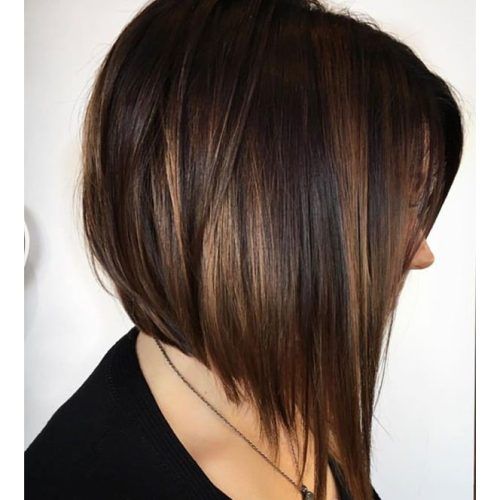 Inverted Brunette Bob Hairstyles With Feathered Highlights (Photo 20 of 20)