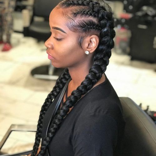 Long Hairstyles With Multiple Braids (Photo 1 of 20)
