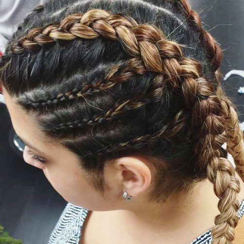 Long Hairstyles With Multiple Braids (Photo 3 of 20)