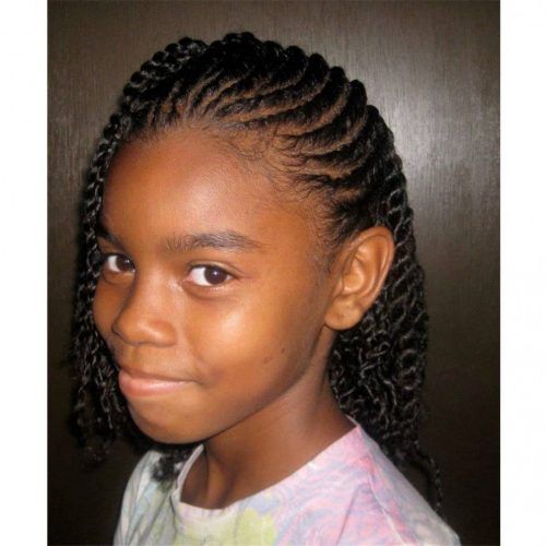 Braided Hairstyles On Natural Hair (Photo 12 of 15)