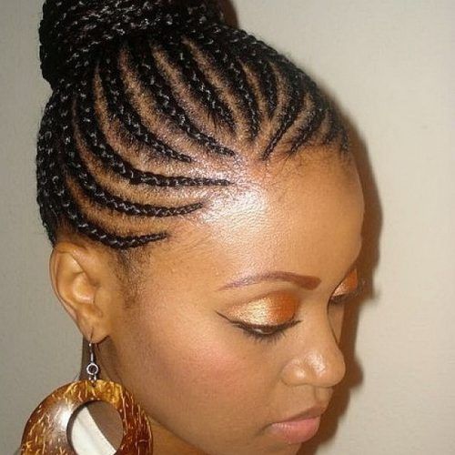 African Braids Updo Hairstyles (Photo 6 of 15)