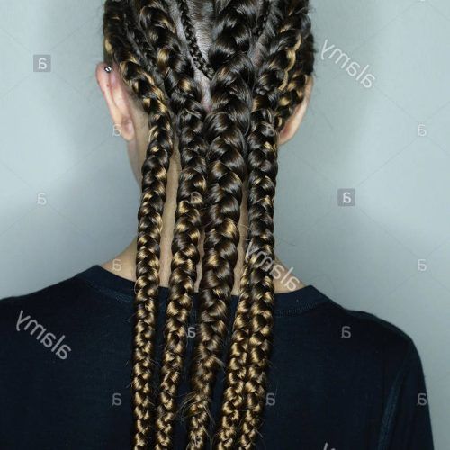 Thick And Thin Braided Hairstyles (Photo 8 of 20)