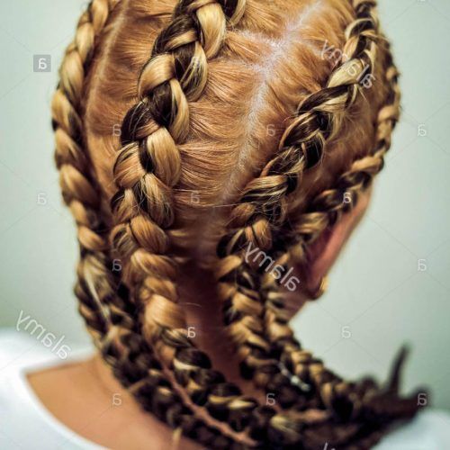 Thick Plaits And Narrow Cornrows Hairstyles (Photo 14 of 20)