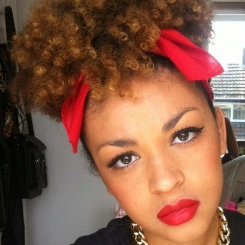 Cute Updos For African American Hair (Photo 10 of 15)
