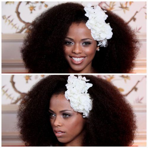 Wedding Hairstyles For Afro Hair (Photo 7 of 15)