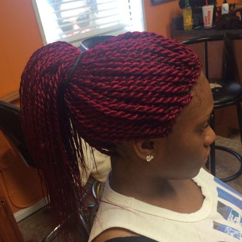 Dramatic Rope Twisted Braid Hairstyles (Photo 3 of 20)