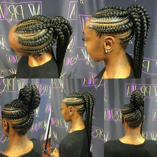 Cornrows Hairstyles Going Up (Photo 6 of 15)