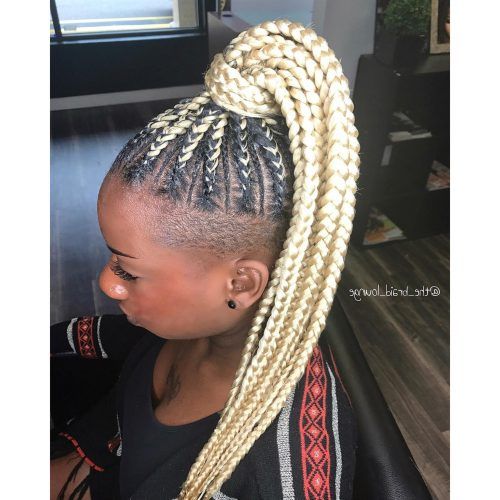 Cornrow Ombre Ponytail Micro Braid Hairstyles (Photo 17 of 20)