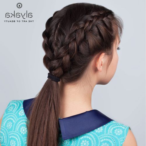 Side Pony And Raised Under Braid Hairstyles (Photo 10 of 20)