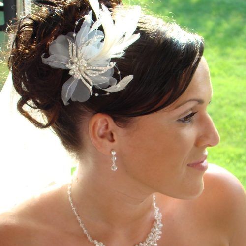 Bridal Hairstyles For Medium Length Hair With Veil (Photo 8 of 15)