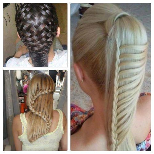 Lattice-Weave With High-Braided Ponytail (Photo 2 of 15)