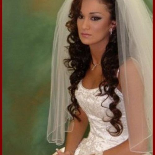 Wedding Updos For Long Hair With Tiara (Photo 14 of 15)