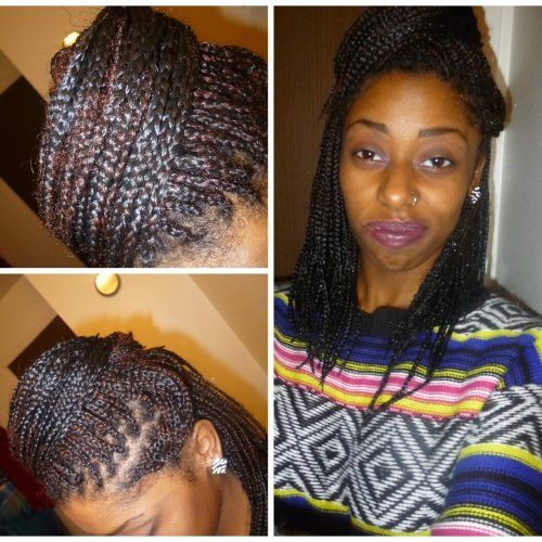 Braided Hairstyles Up In One (Photo 11 of 15)
