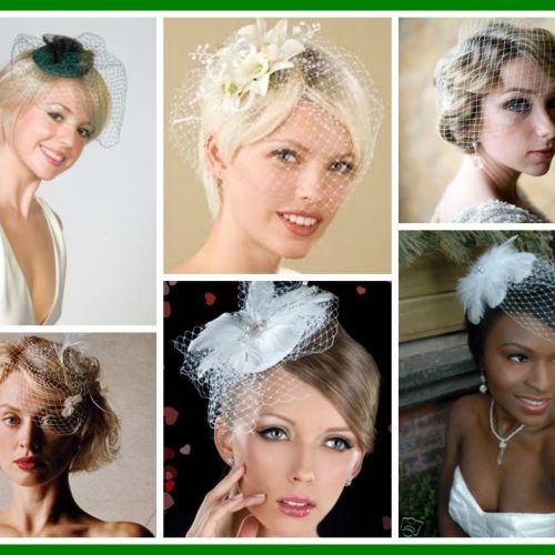 Wedding Hairstyles For Short Hair With Veil (Photo 5 of 15)