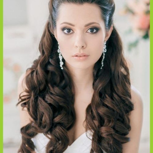 Wedding Hairstyles For Long Hair Up With Veil (Photo 11 of 15)