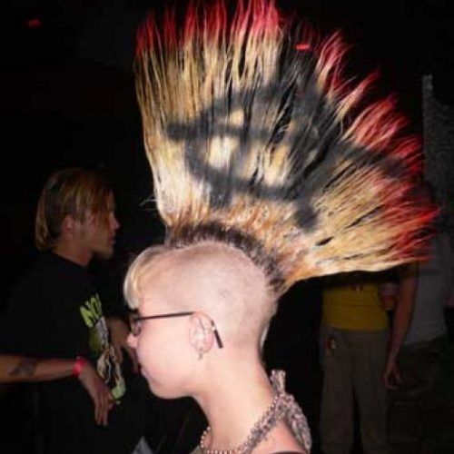 Punk-Rock Princess Faux Hawk Hairstyles (Photo 1 of 20)