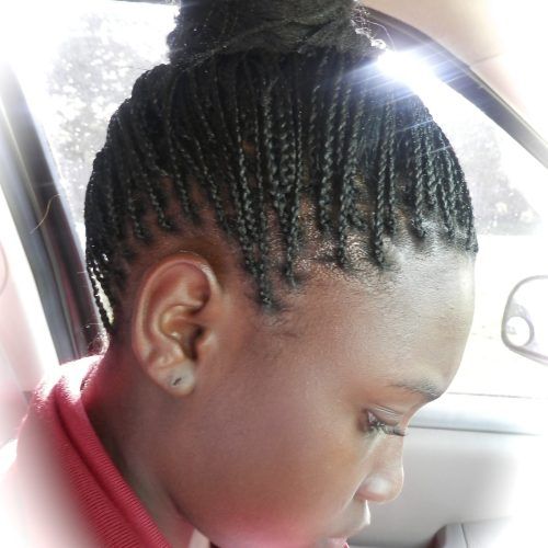 Cornrows Hairstyles For Small Heads (Photo 13 of 15)