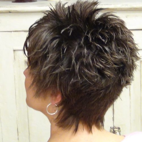 Short Shaggy Curly Hairstyles (Photo 7 of 15)