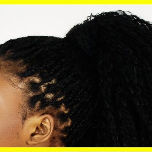 Cornrows Hairstyles For Small Heads (Photo 11 of 15)