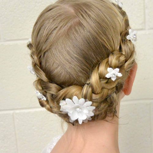 Braided Maze Low Ponytail Hairstyles (Photo 11 of 20)